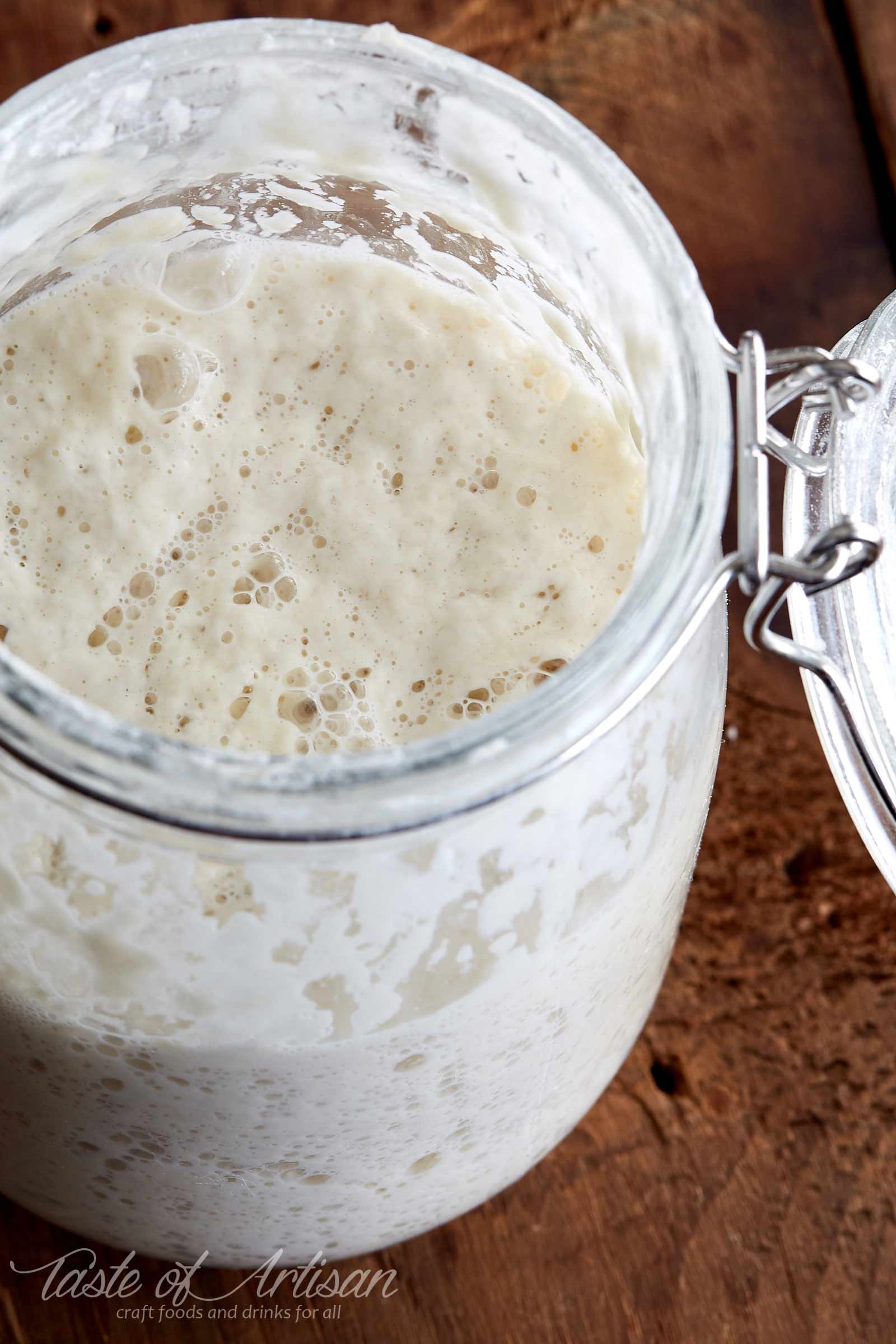 Sourdough Starter | Taste of Artisan