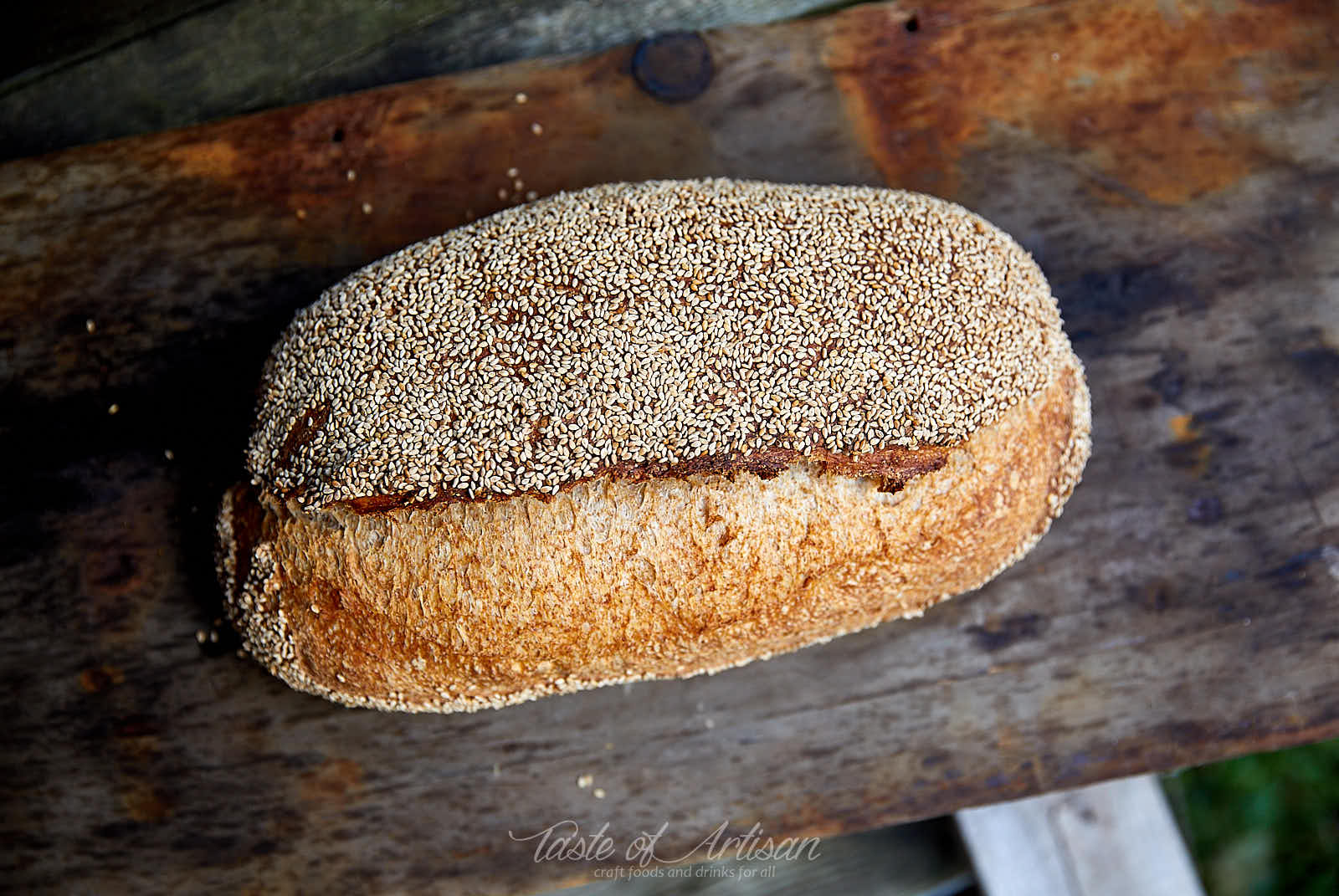 Sourdough-Bread-Recipe-Scoring 5