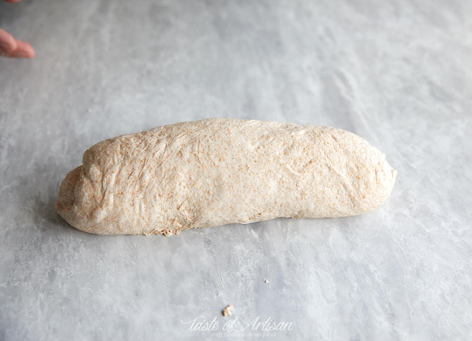 Sourdough-Bread-Recipe-Shaping-Dough-1 19