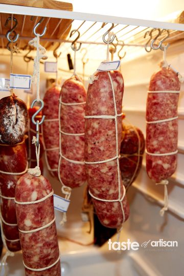 Avanced meat curing chamber to make salami, soppressata, capicola and other cured meats and sausages at home with ease. By Taste of Artisan