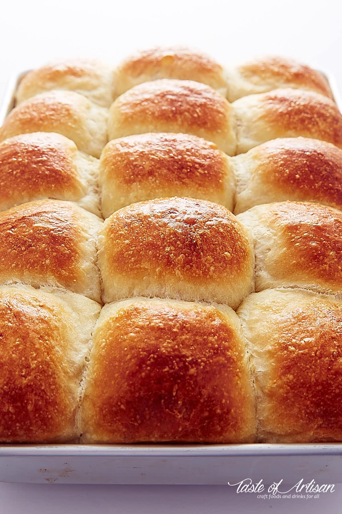 Angle view of a baking pan full of golden brown topped yeast rolls in a baking pan.