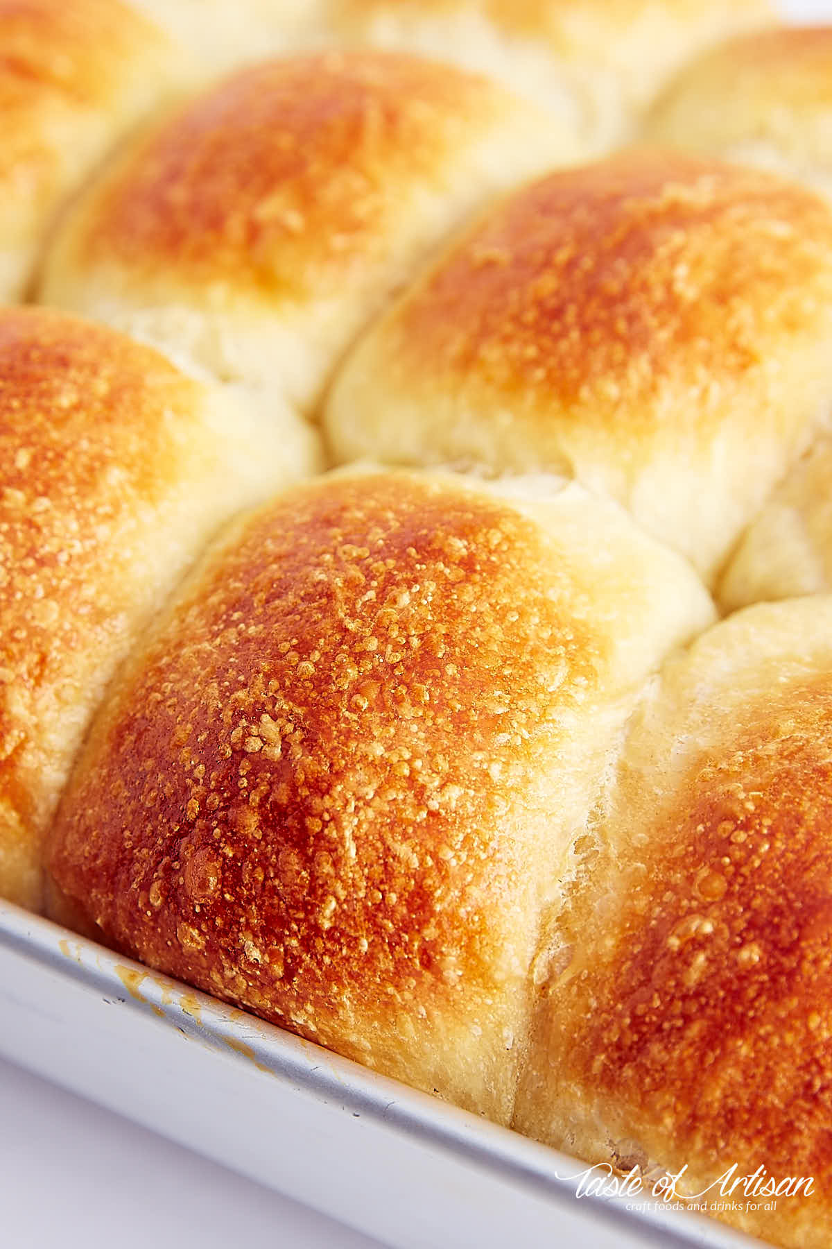 View at an angle of golden tops of yeast rolls in a baking pan.