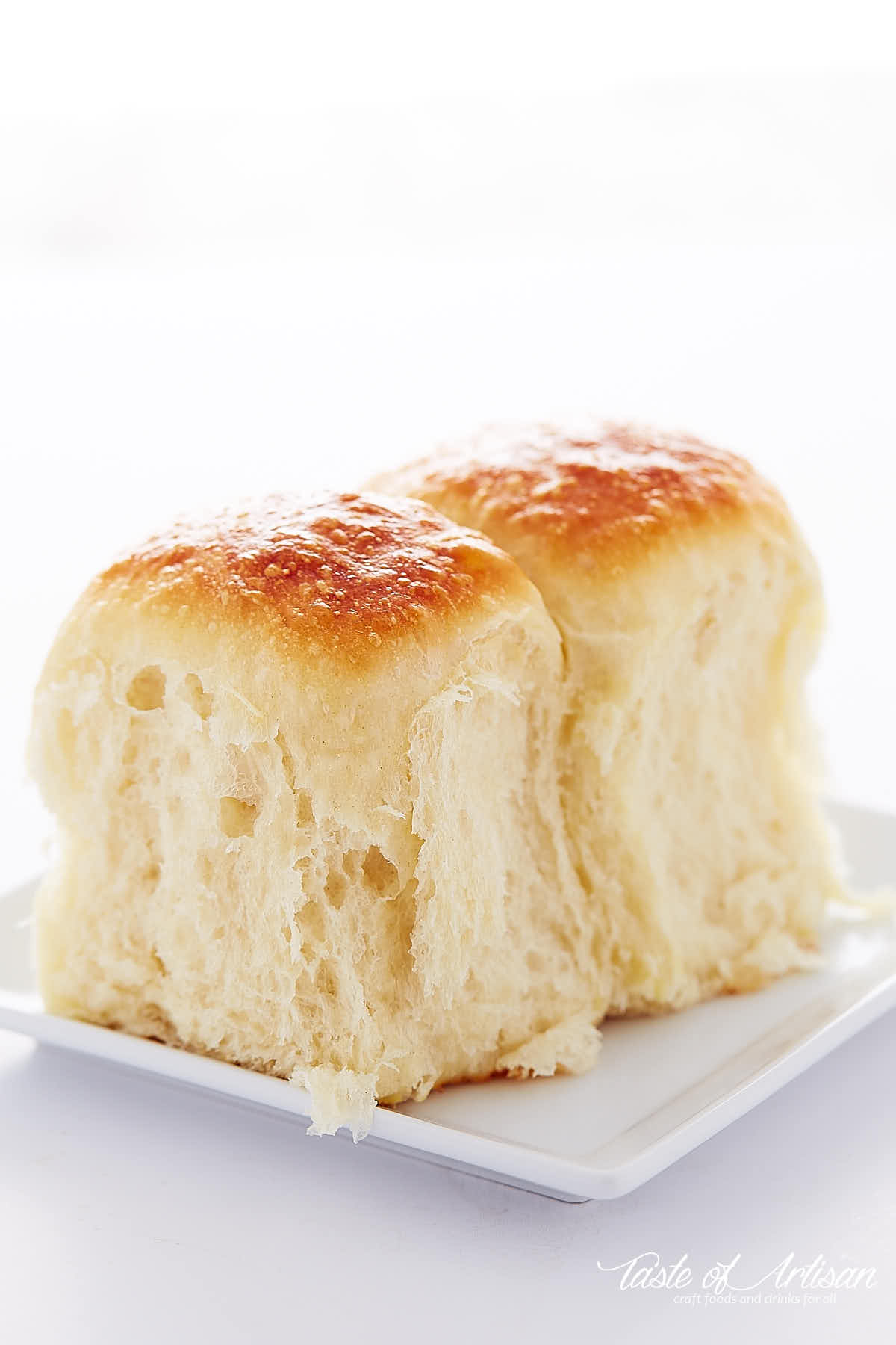 Two yeast rolls with golden brown tops on a white plate. 