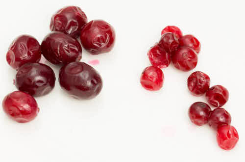 North American and European cranberries on a white table.