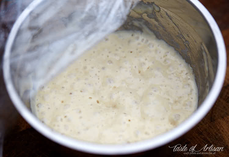 Ripe poolish for Tartine croissants in a bowl.