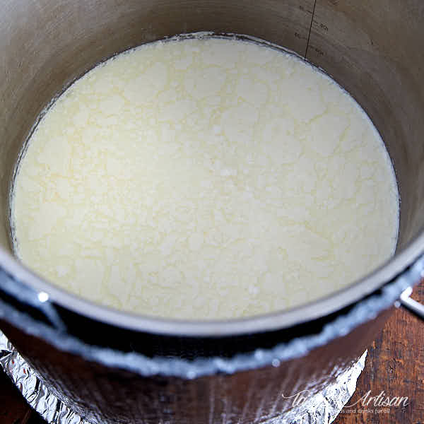 Formation of whey pools indicating that cream cheese is ready for draining.