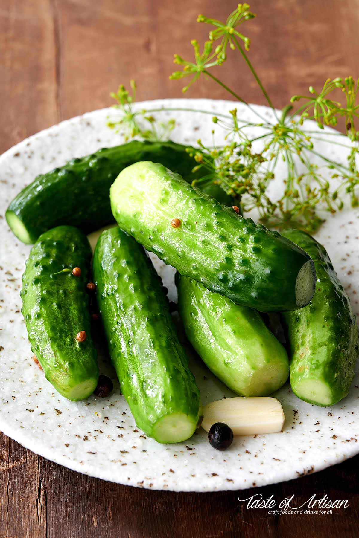 Whole refrigerator pickles on a speckled plate with peppercorns and a dill twig.