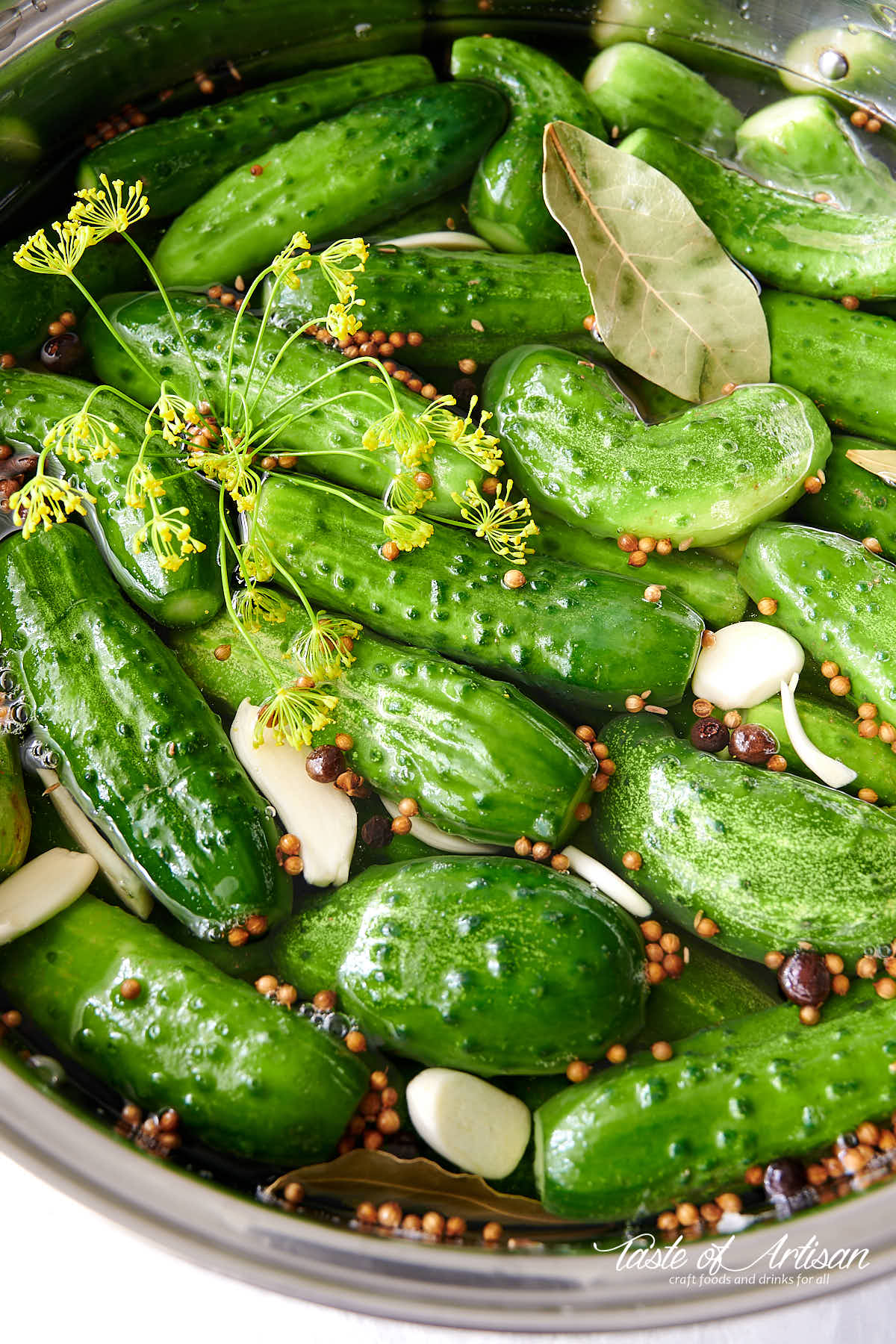 Pickles in a large pot with pickling juice, spices and seasonings.