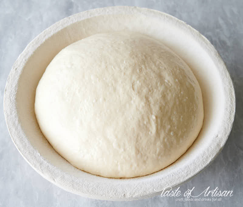 No Knead bread fully proofed.