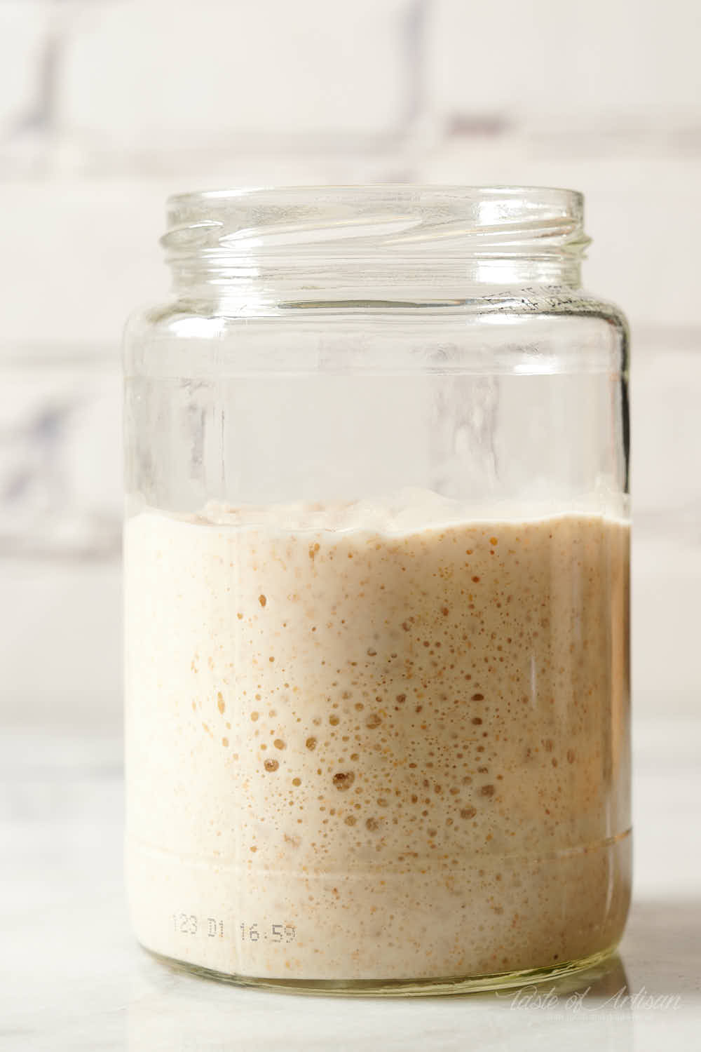 Science Of Sourdough Starter