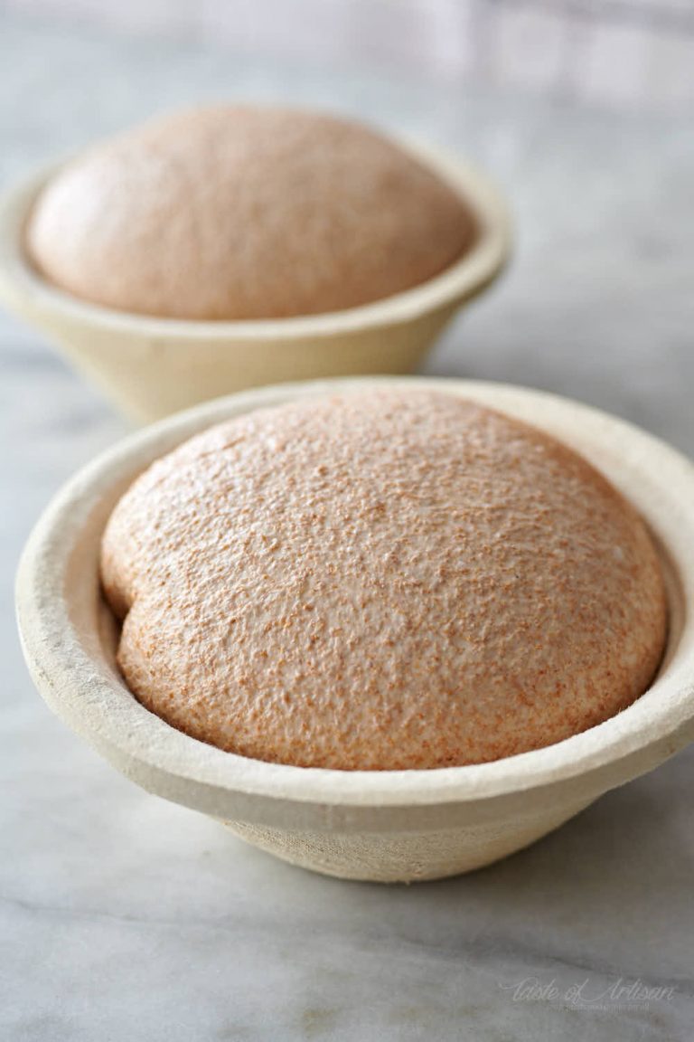 Whole Wheat Sourdough Bread Taste of Artisan