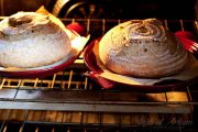 Whole Wheat Sourdough Bread - Taste Of Artisan