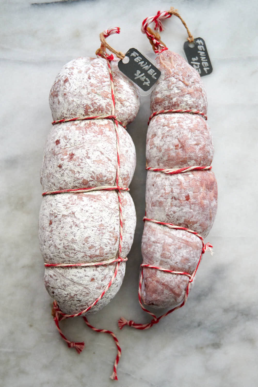 two fennel salami on a table covered in white mold.