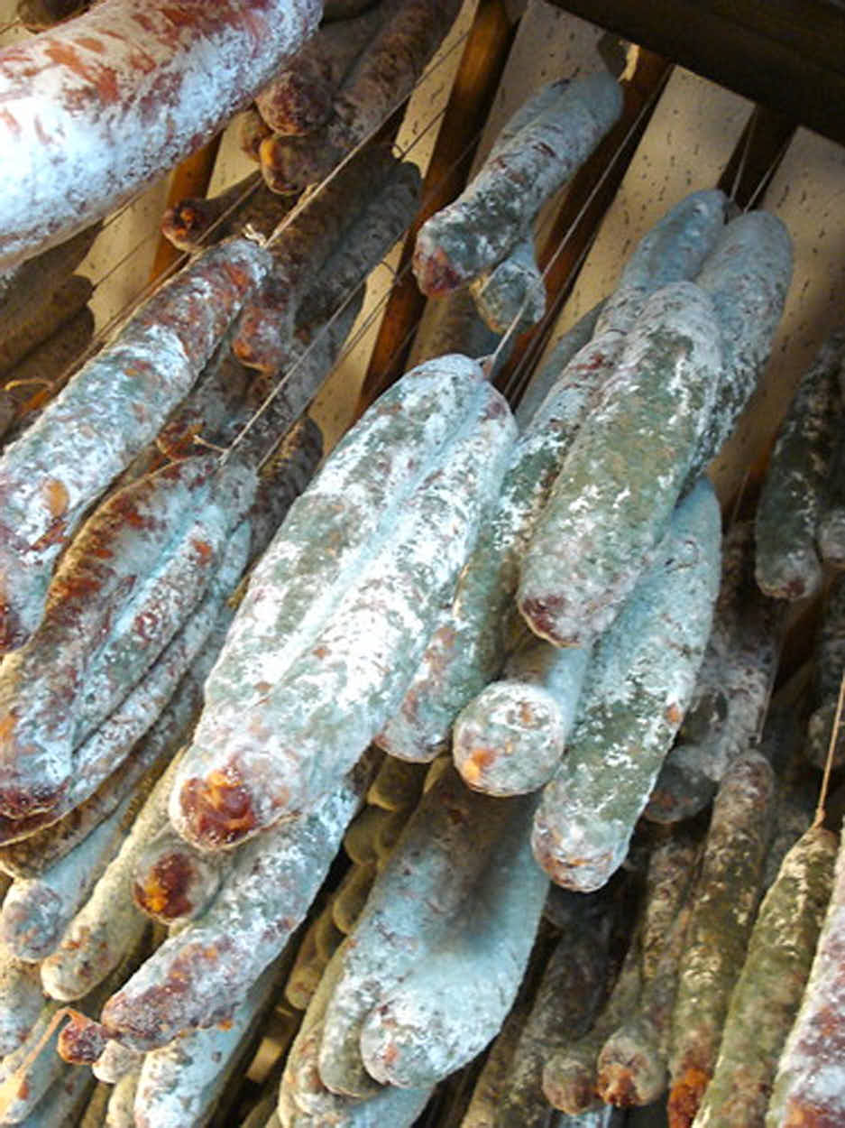 Green Mold on Salami Taste of Artisan