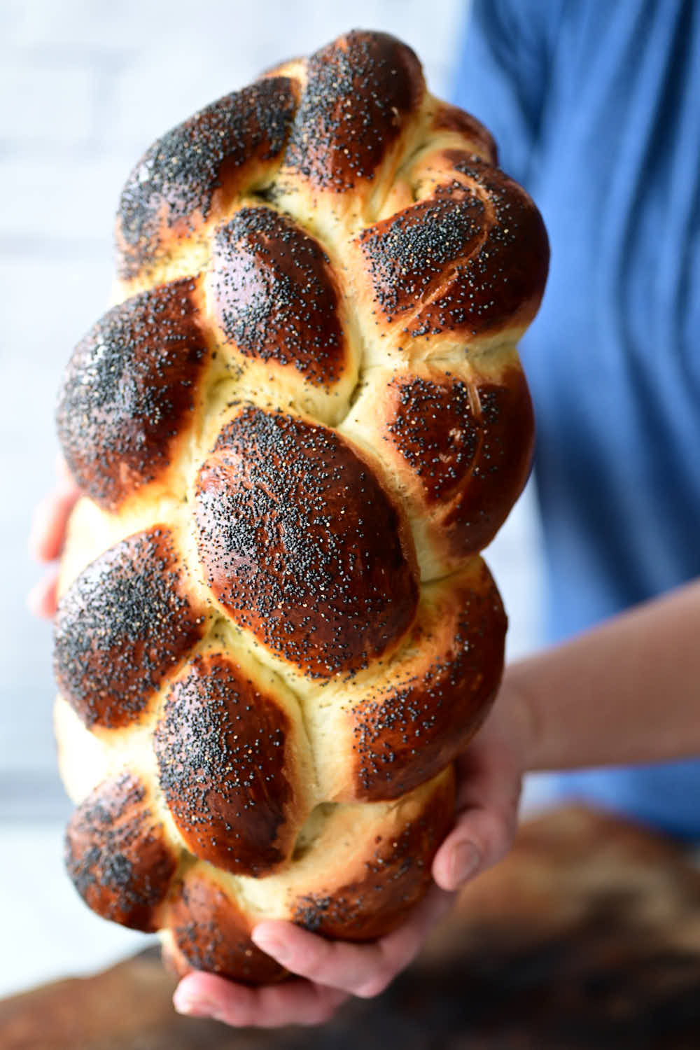 Challah Bread Taste of Artisan