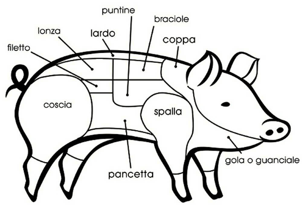 diagrama care arată coppa pe un porc.