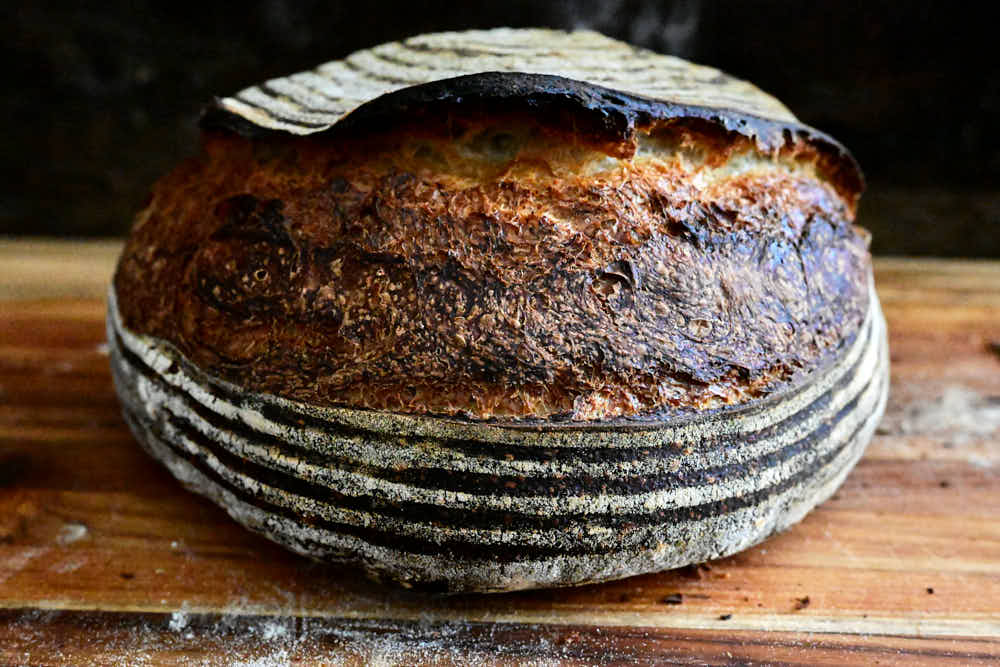Beautiful dark crust on sourdough bread, side view.