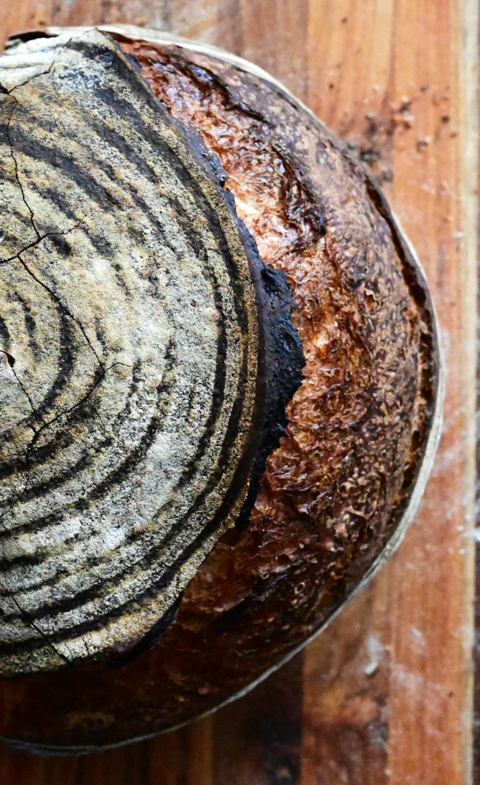 Rustic Sourdough Bread - Taste Of Artisan