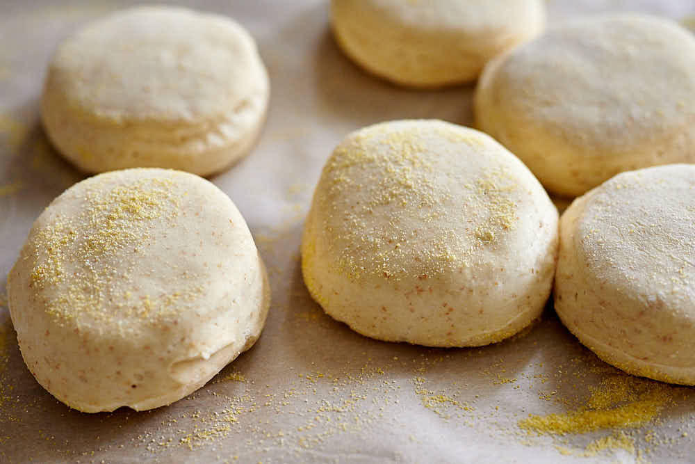 Puffed up sourdough dough circles