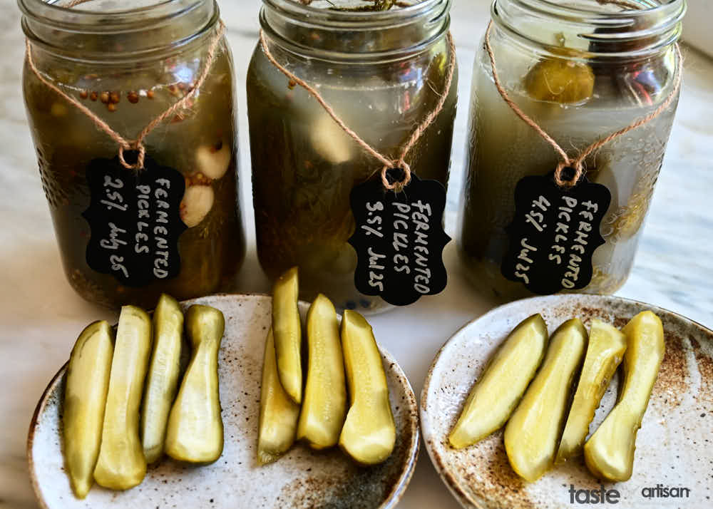 Taste testing fermented pickles with different salt levels.