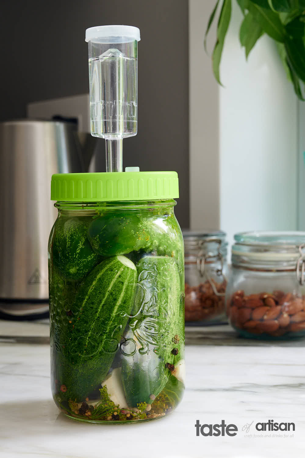 Fermenting pickles in a jar with an airlock.