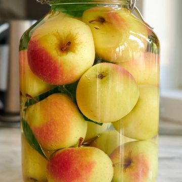 Apples fermenting in a large jar.