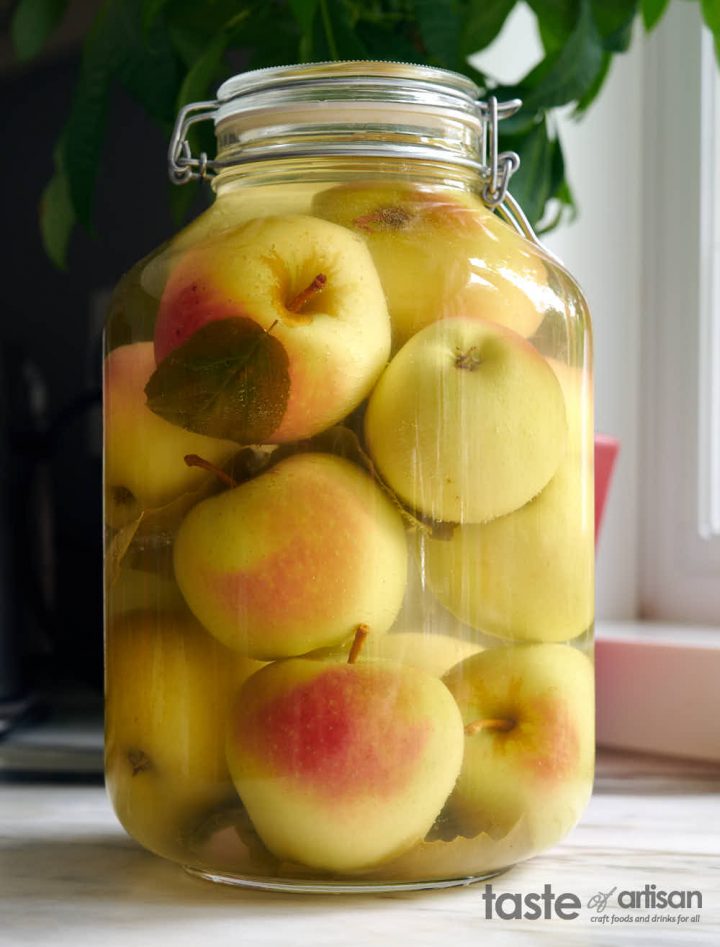 Homemade Fermented Apples Taste of Artisan