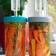 Fermented carrots (sticks) in a jar.