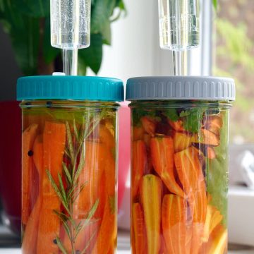 Fermented carrots (sticks) in a jar.