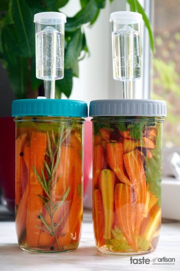 Fermented Carrots with Rosemary and Cilantro