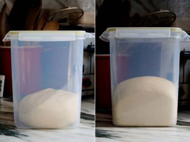 Bagel dough fermeting in a container, doubling in size.