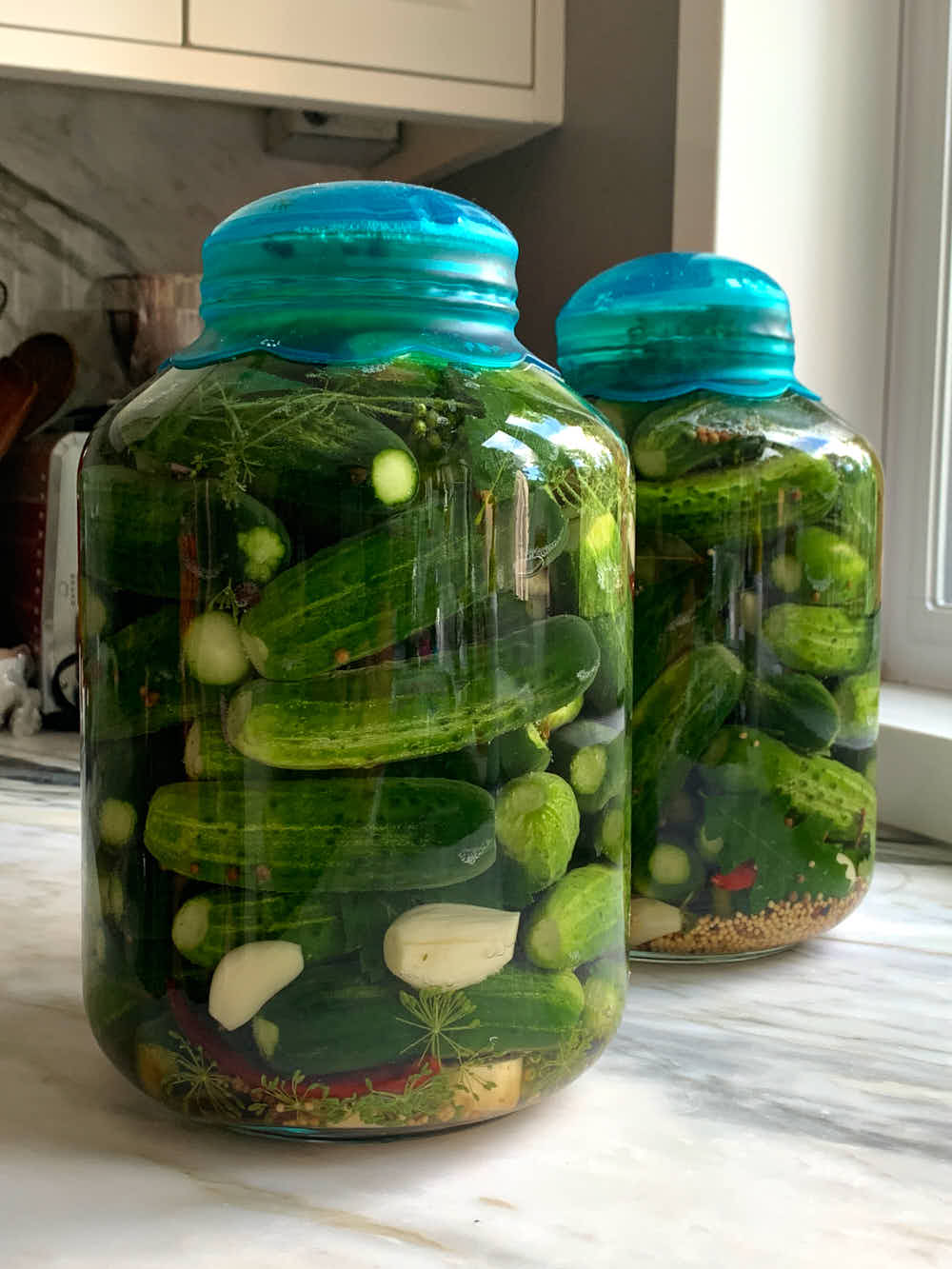 fermenting pickles in large jars with silicone lids