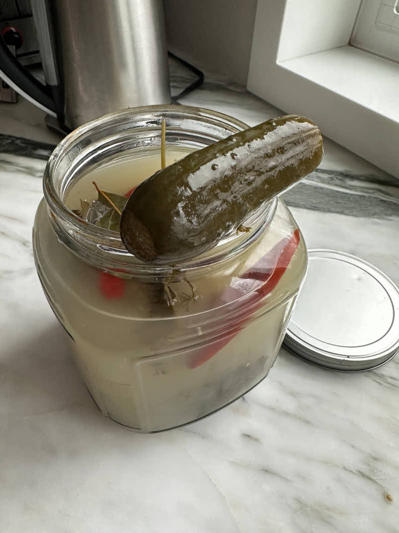 Ran out of Mason jars? Here's how to continuing pickling