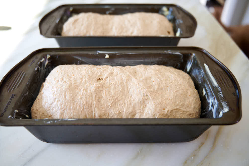 Proofing dark rye bread